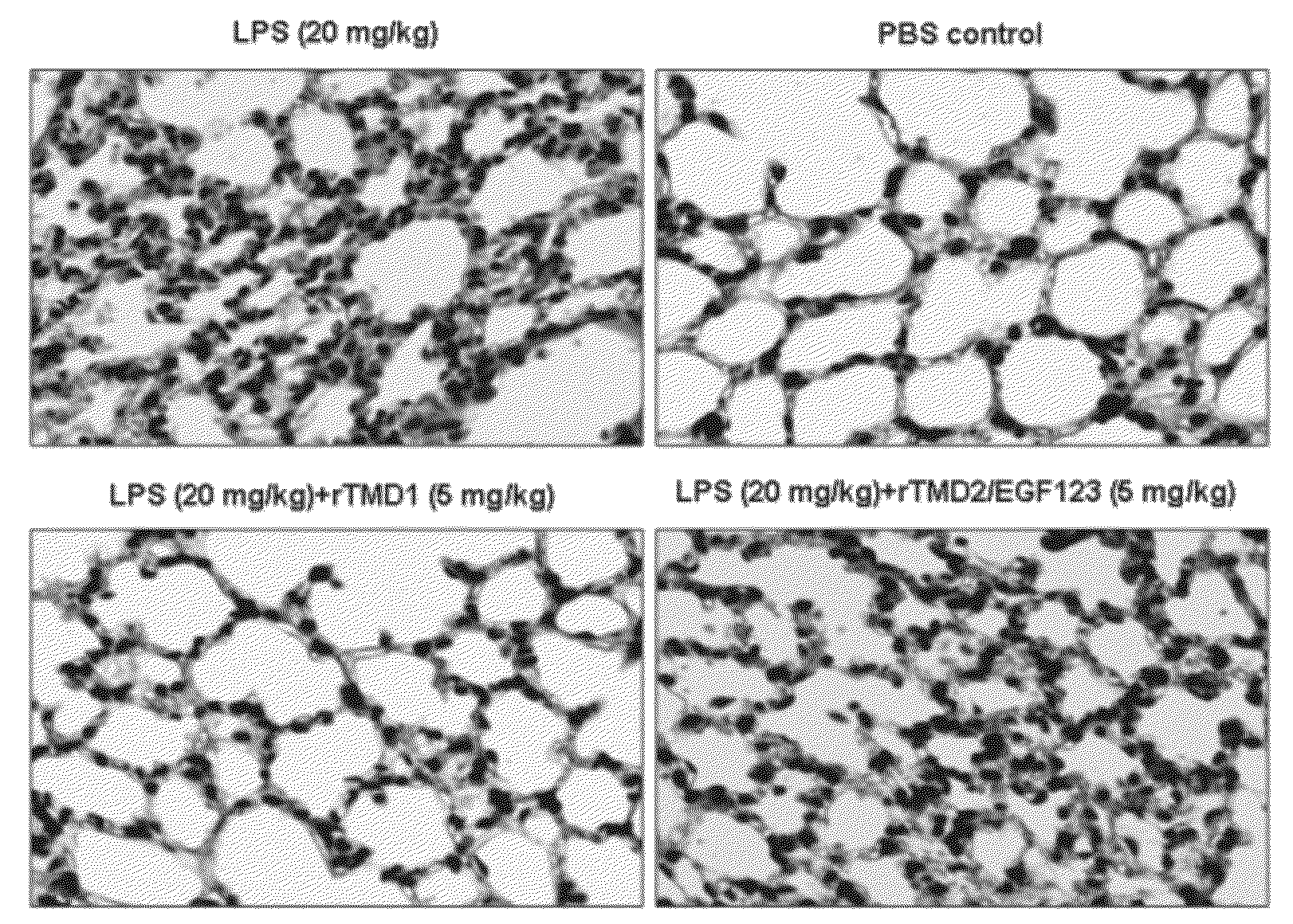 Methods for binding lewis y antigen