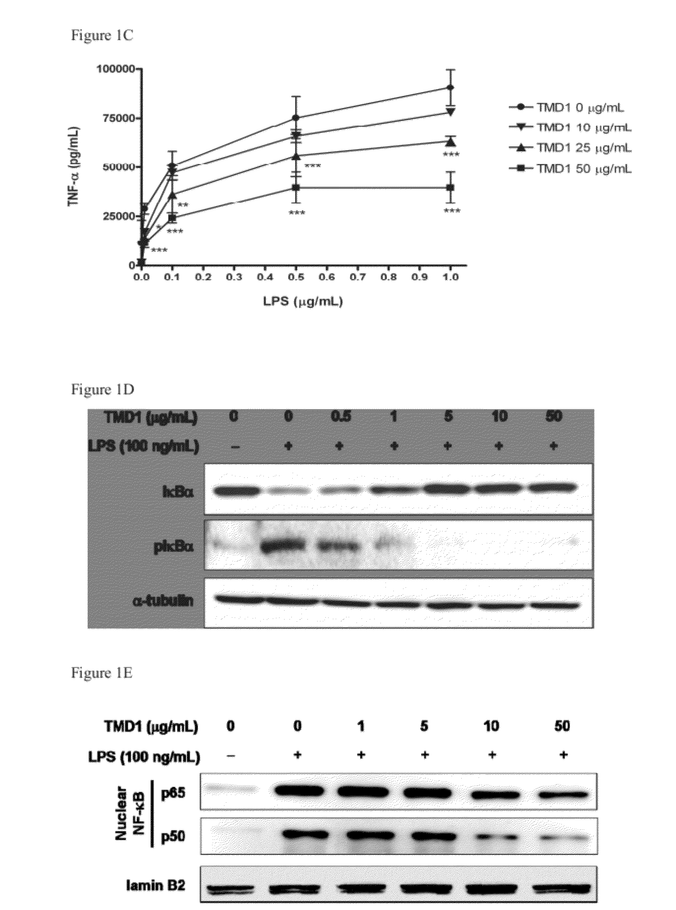 Methods for binding lewis y antigen