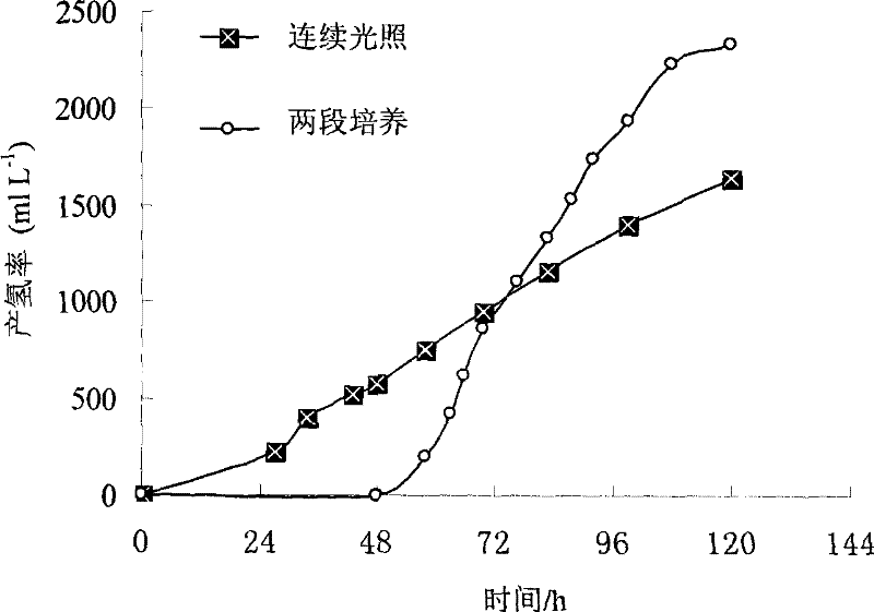 Method for producing hydrogen using photosynthetic bacteria