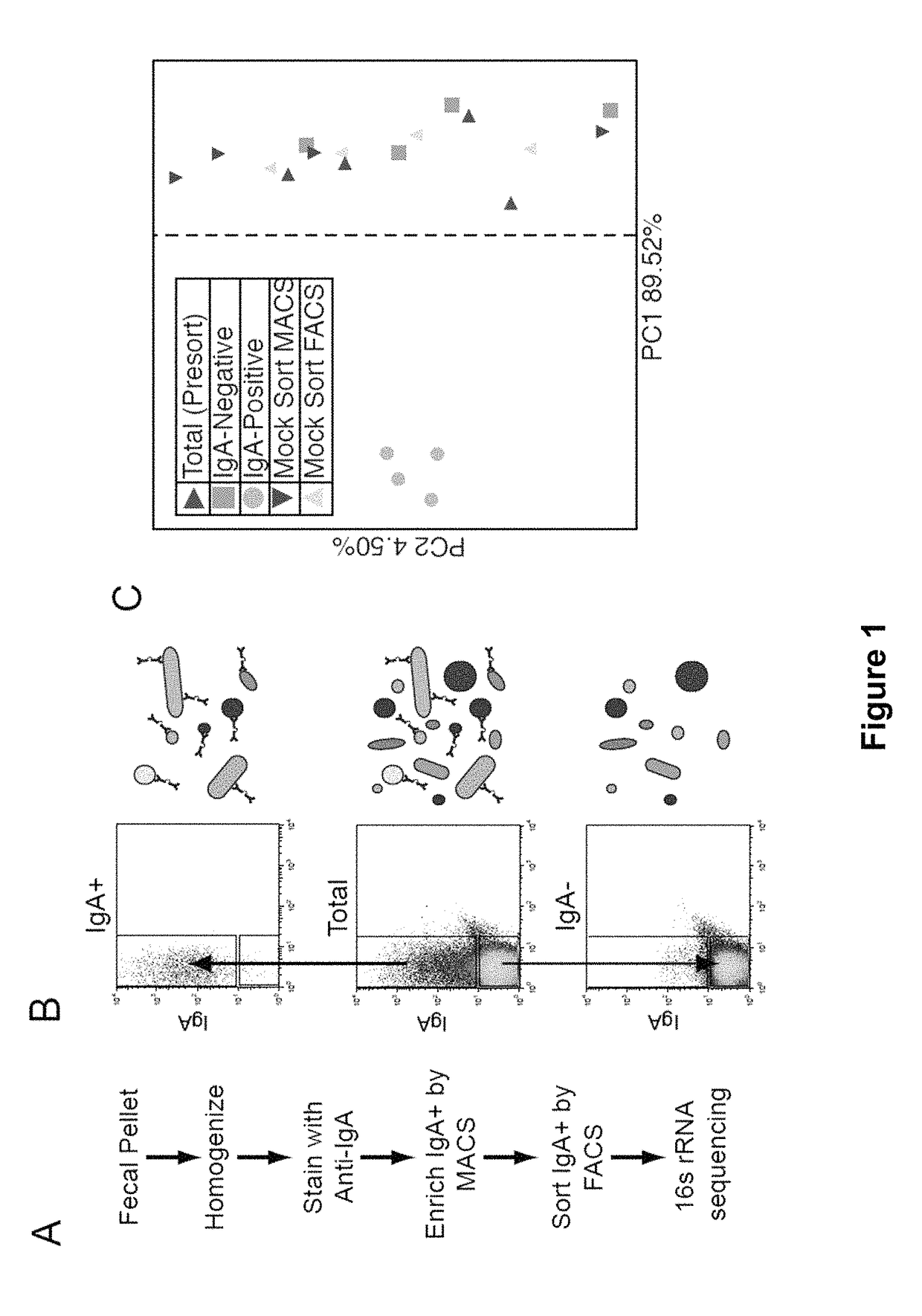 Compositions and methods for identifying secretory antibody-bound microbes