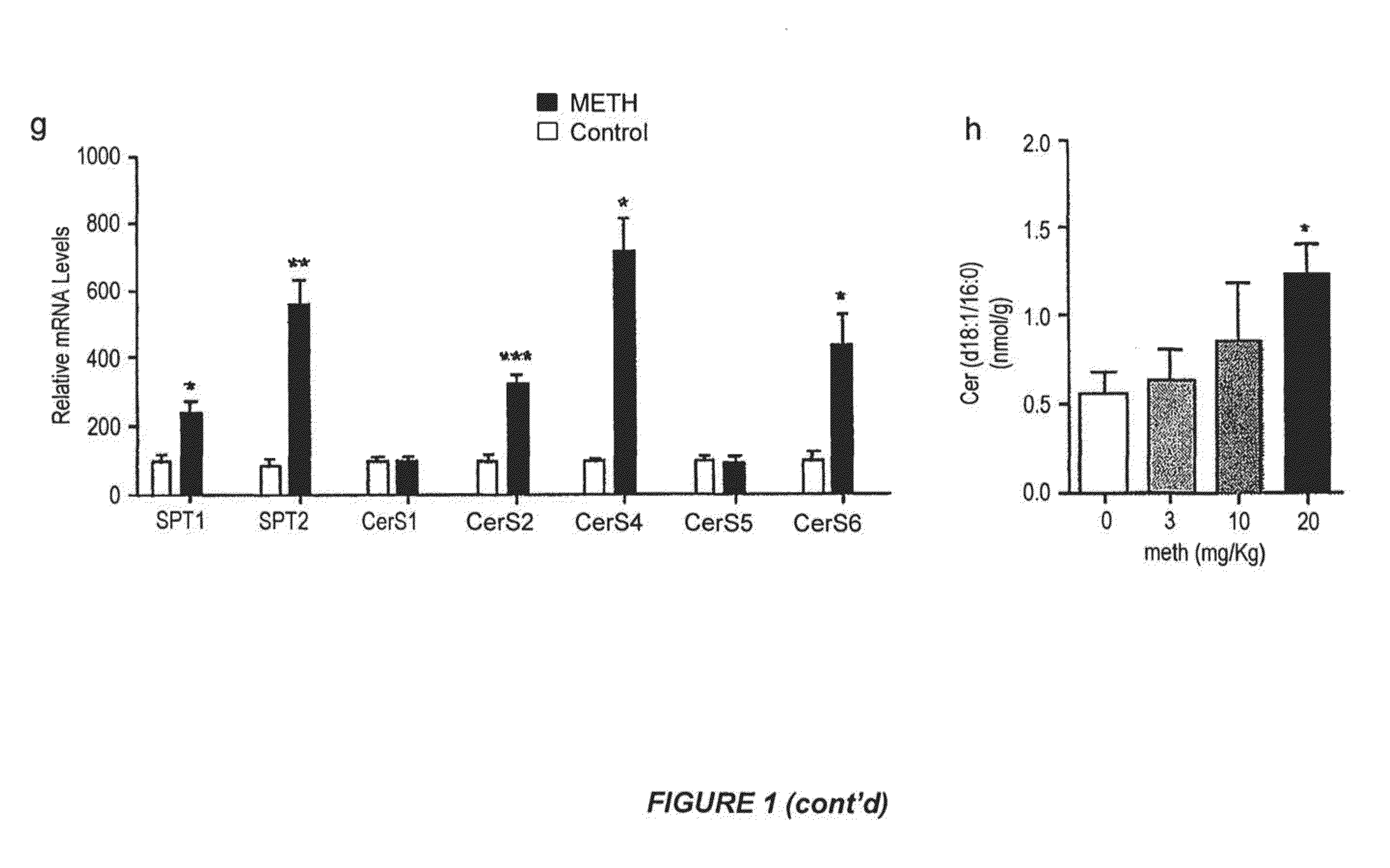 Methods of treatment, diagnosis and monitoring for methamphetamine toxicity which target ceramide metabolic pathways and cellular senescence