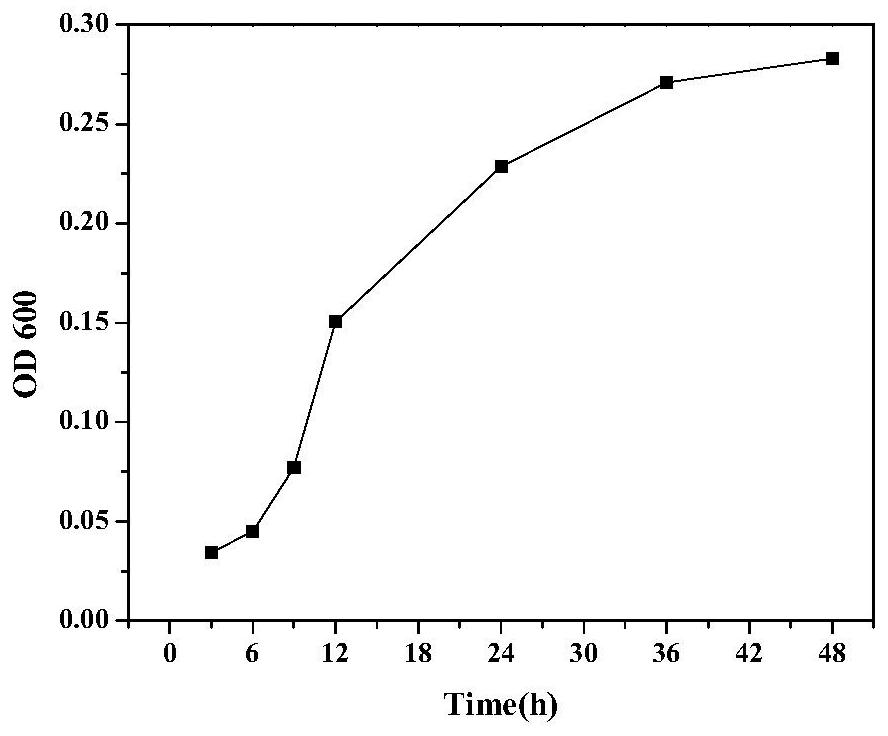 A binary system, construction method and application of quorum-sensing-aerobic denitrifying bacteria for enhanced biofilm denitrification under low temperature conditions