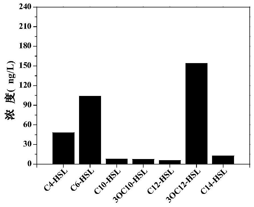 A binary system, construction method and application of quorum-sensing-aerobic denitrifying bacteria for enhanced biofilm denitrification under low temperature conditions