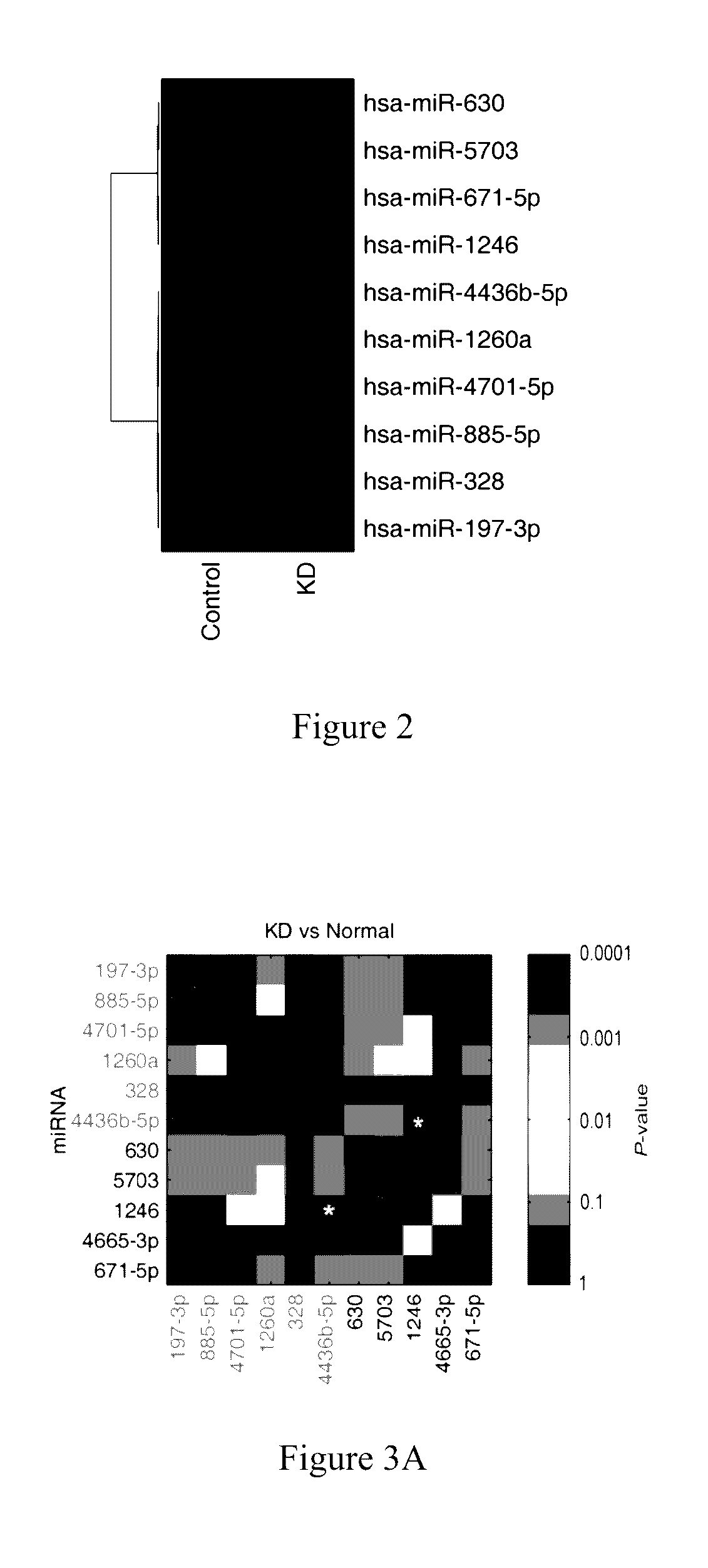 Nucleic acid markers for rapid diagnosis of kawasaki disease and kit for detection of the nucleic acid markers