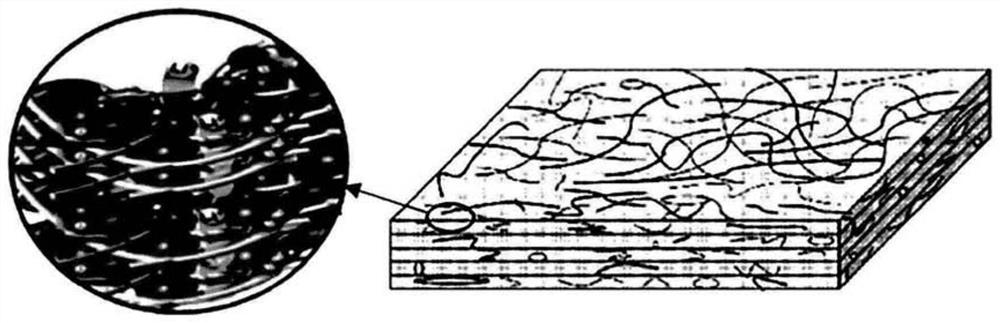 Electrode comprising electrode collector with three-dimensional network structure