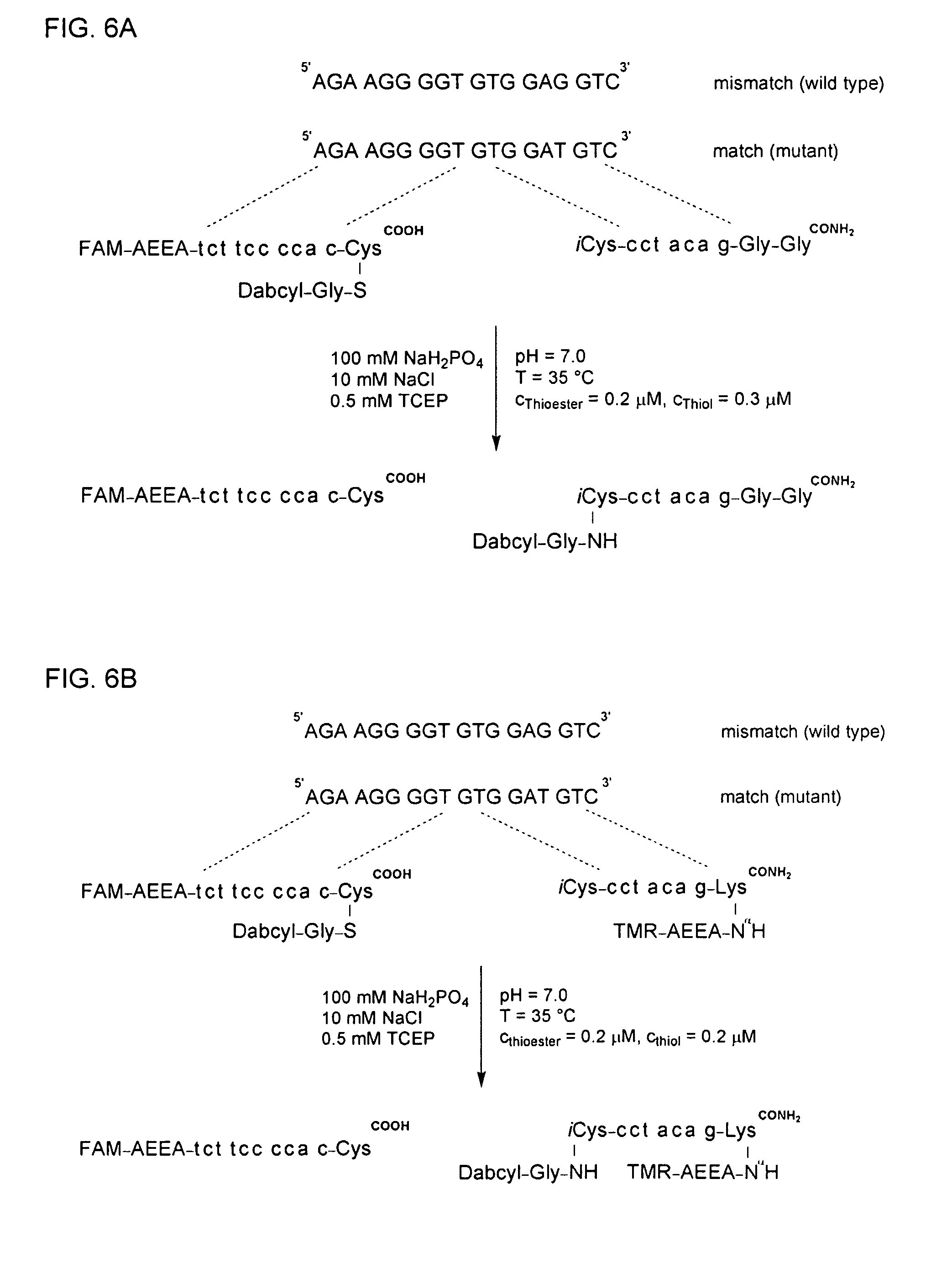 Method for Detecting Target Nucleic Acids Using Template Catalyzed Transfer Reactions