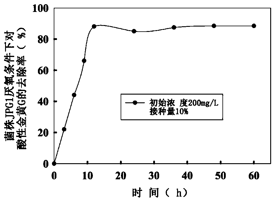 Application of Citrobacter sp. in removal of dye wastewater