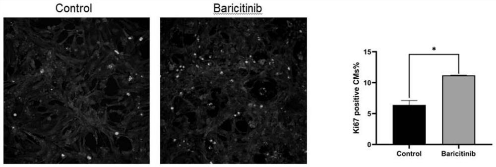 Novel drug application of baricitinib