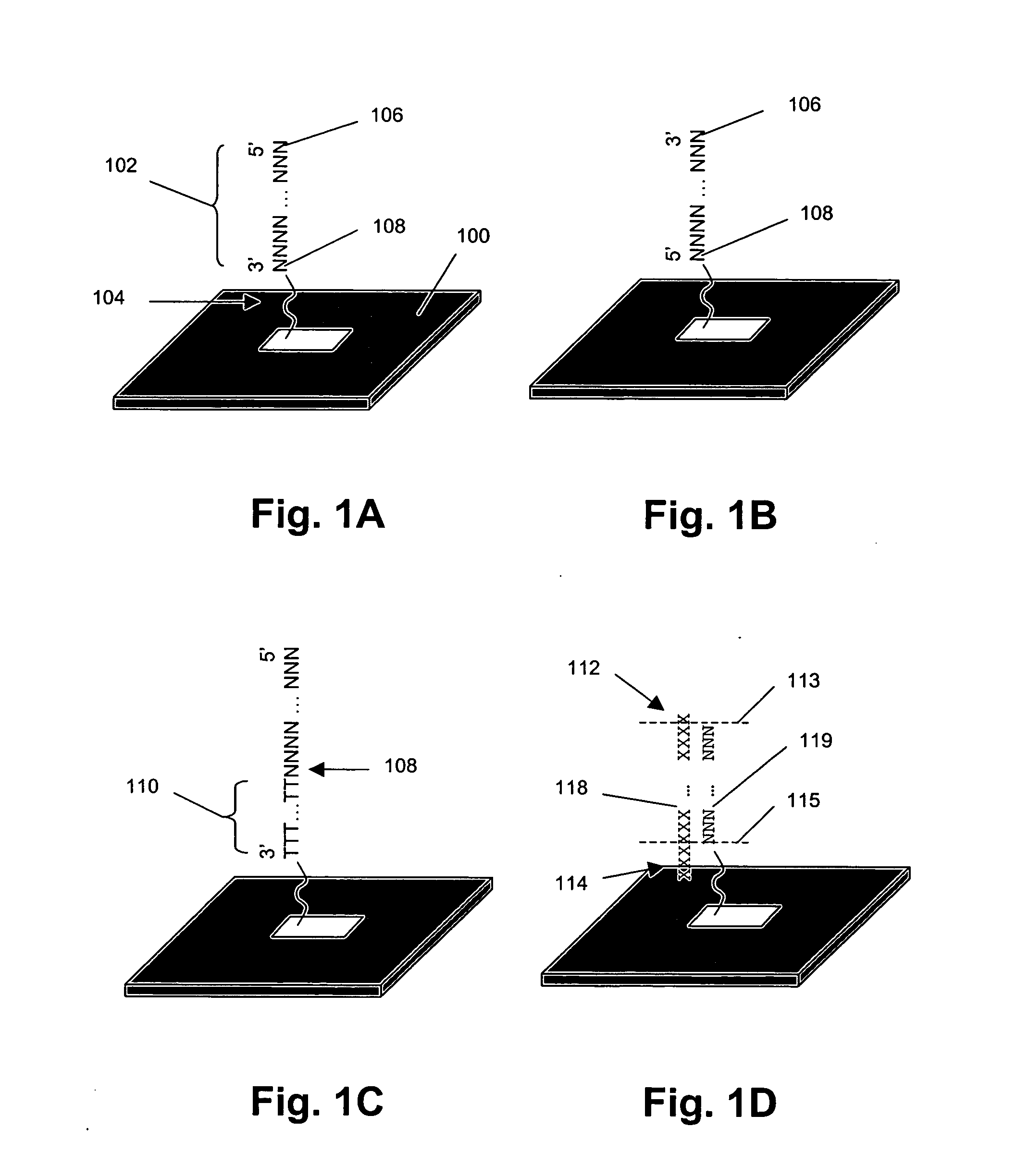 System and methods for enhancing signal-to-noise ratios of microarray-based measurements