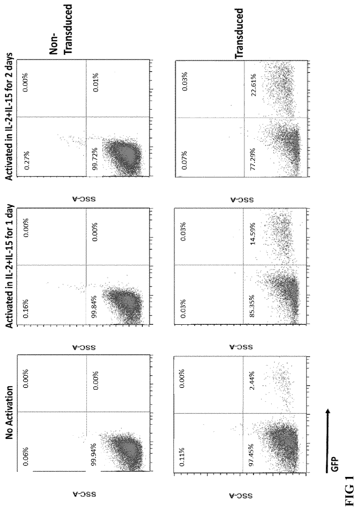 Method for nk cell transduction