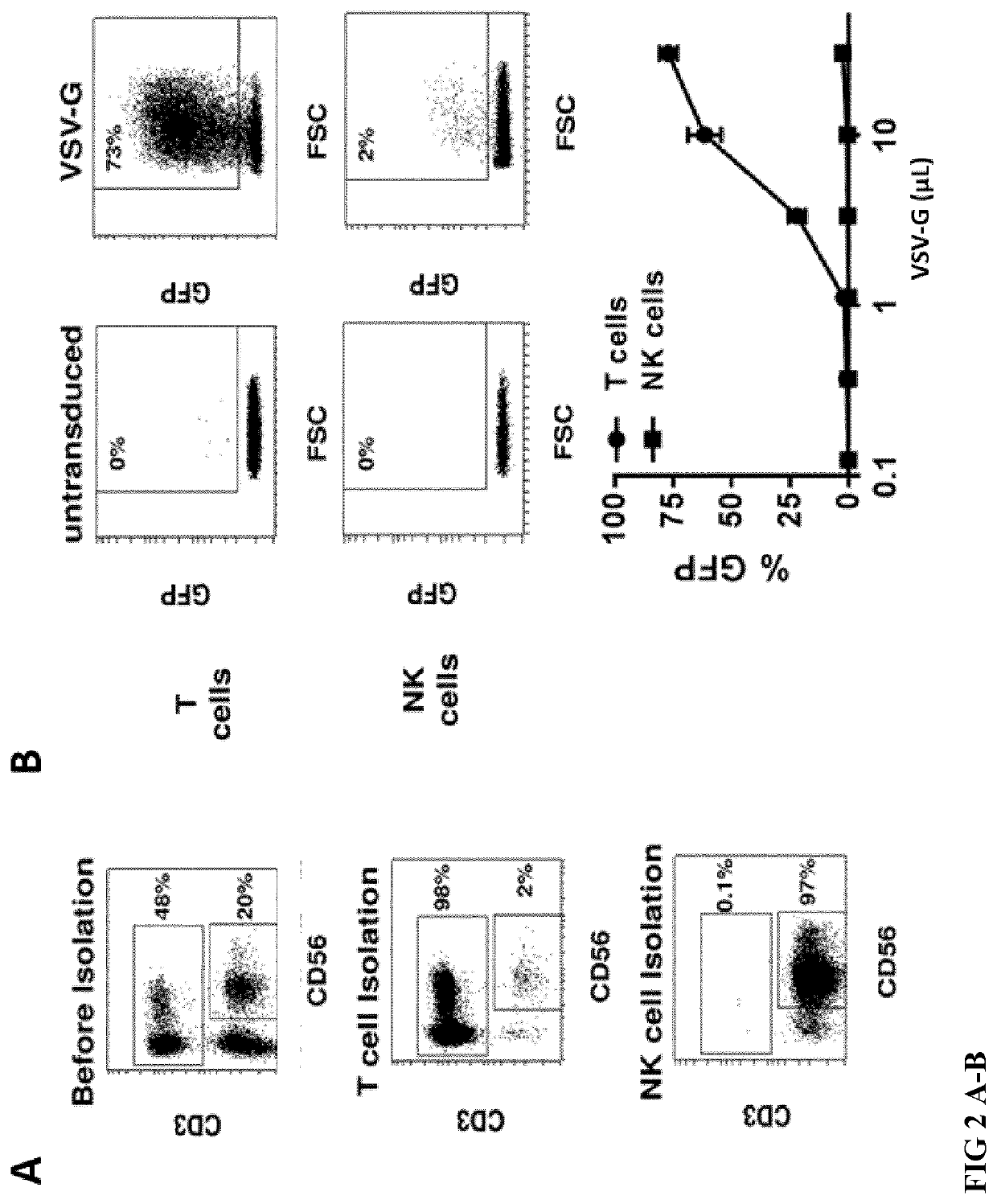 Method for nk cell transduction