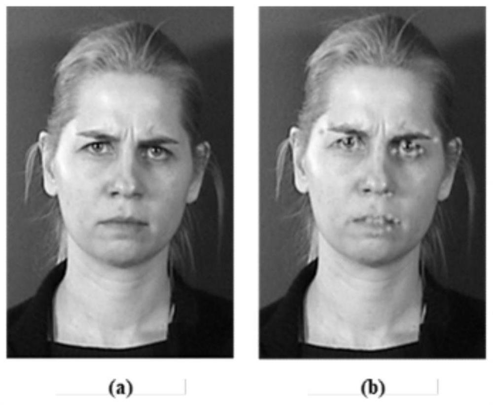 Cognitive emotion recognition method based on geodesic distance and sample entropy