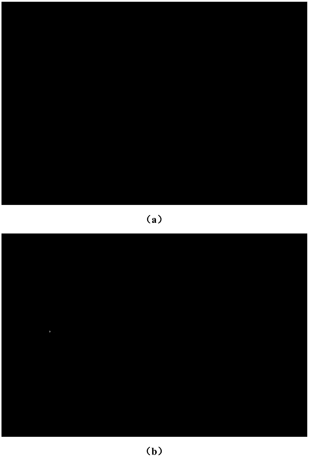 Eye fundus image optic disc and macular positioning detection algorithm based on YOLO-V3