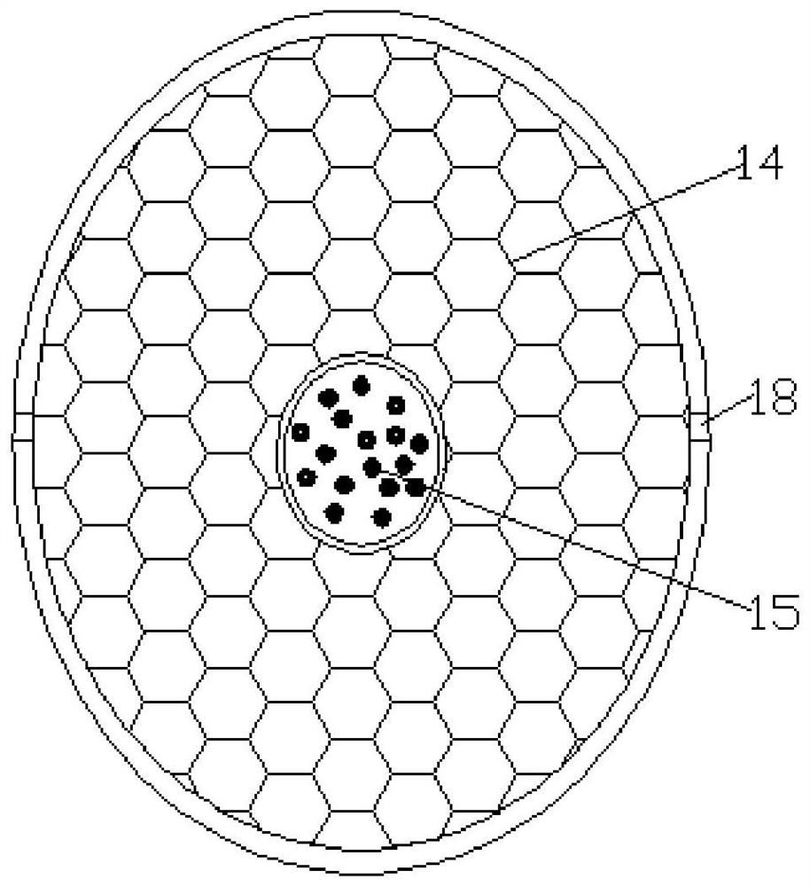 Bone fracture plate fixing device conforming to bone healing process