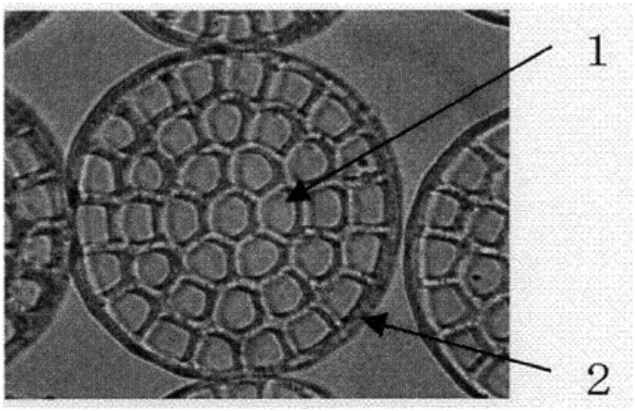 Polyamide fibers, fiber structure using same, and clothing