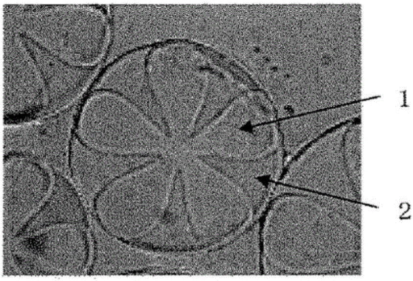 Polyamide fibers, fiber structure using same, and clothing