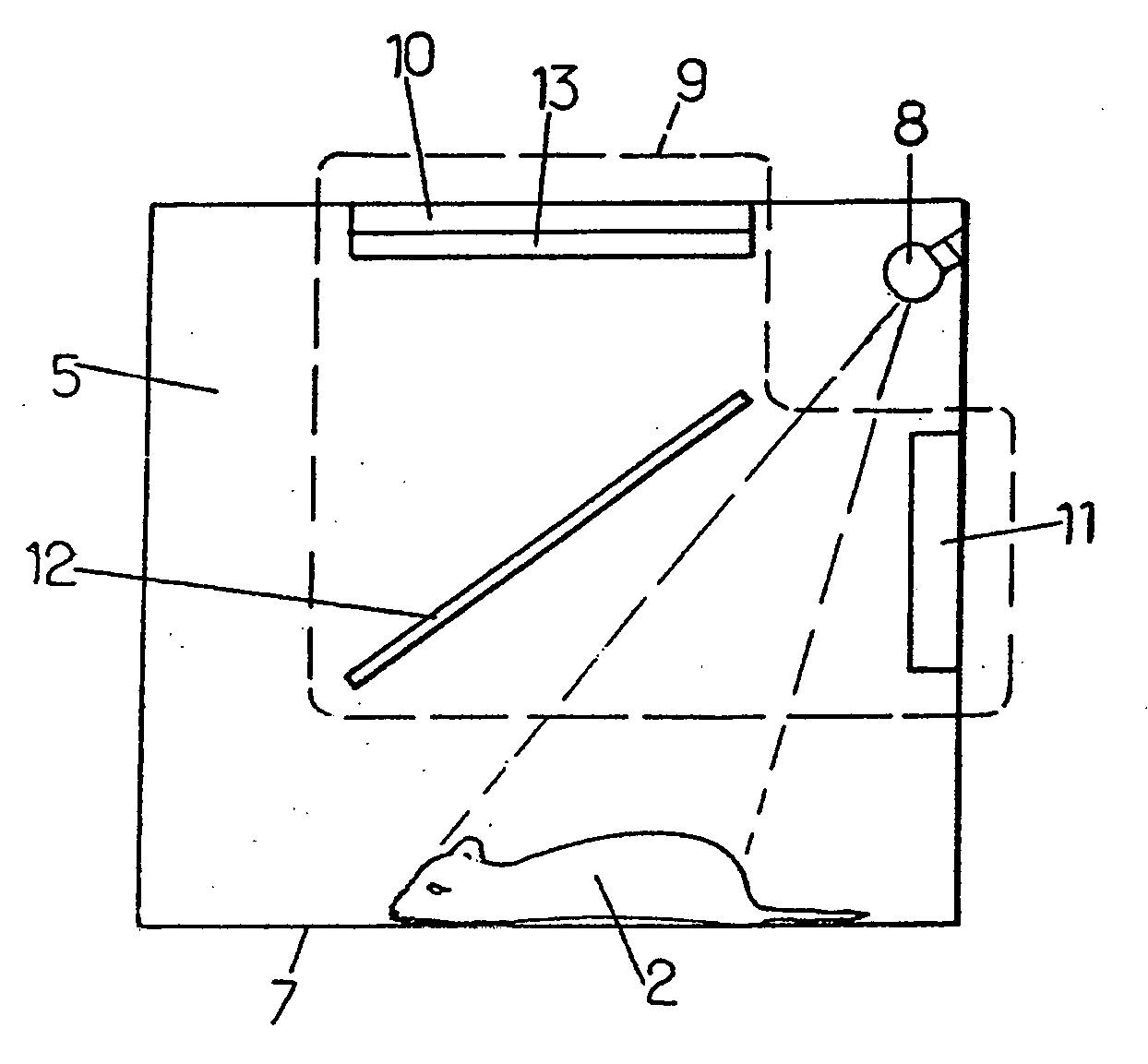 Device and process for luminescence imaging