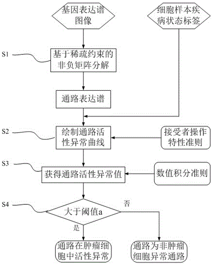 Abnormal tumour cell pathway identification method capable of overcoming signal distortion