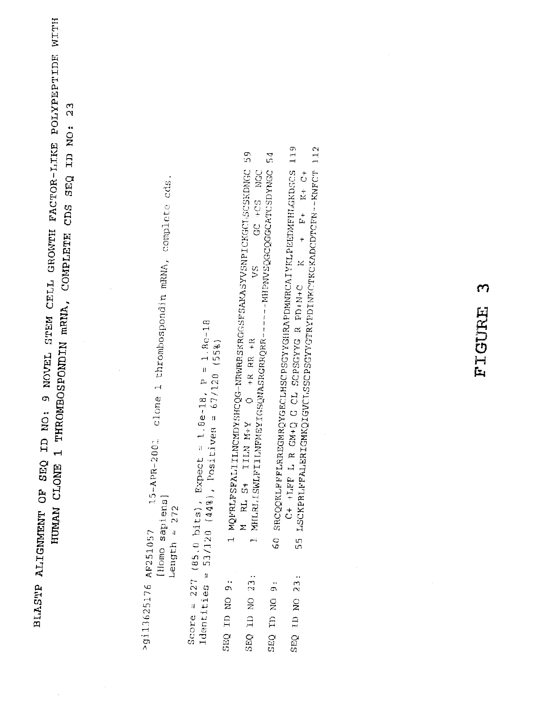 Methods and materials relating to stem cell growth factor-like polypeptides and polynucleotides