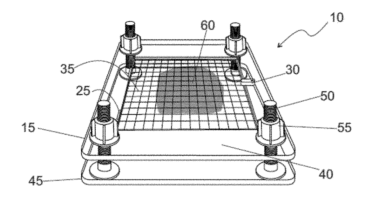 Auxiliary device for locating, mapping and microscopically measuring neoplasias