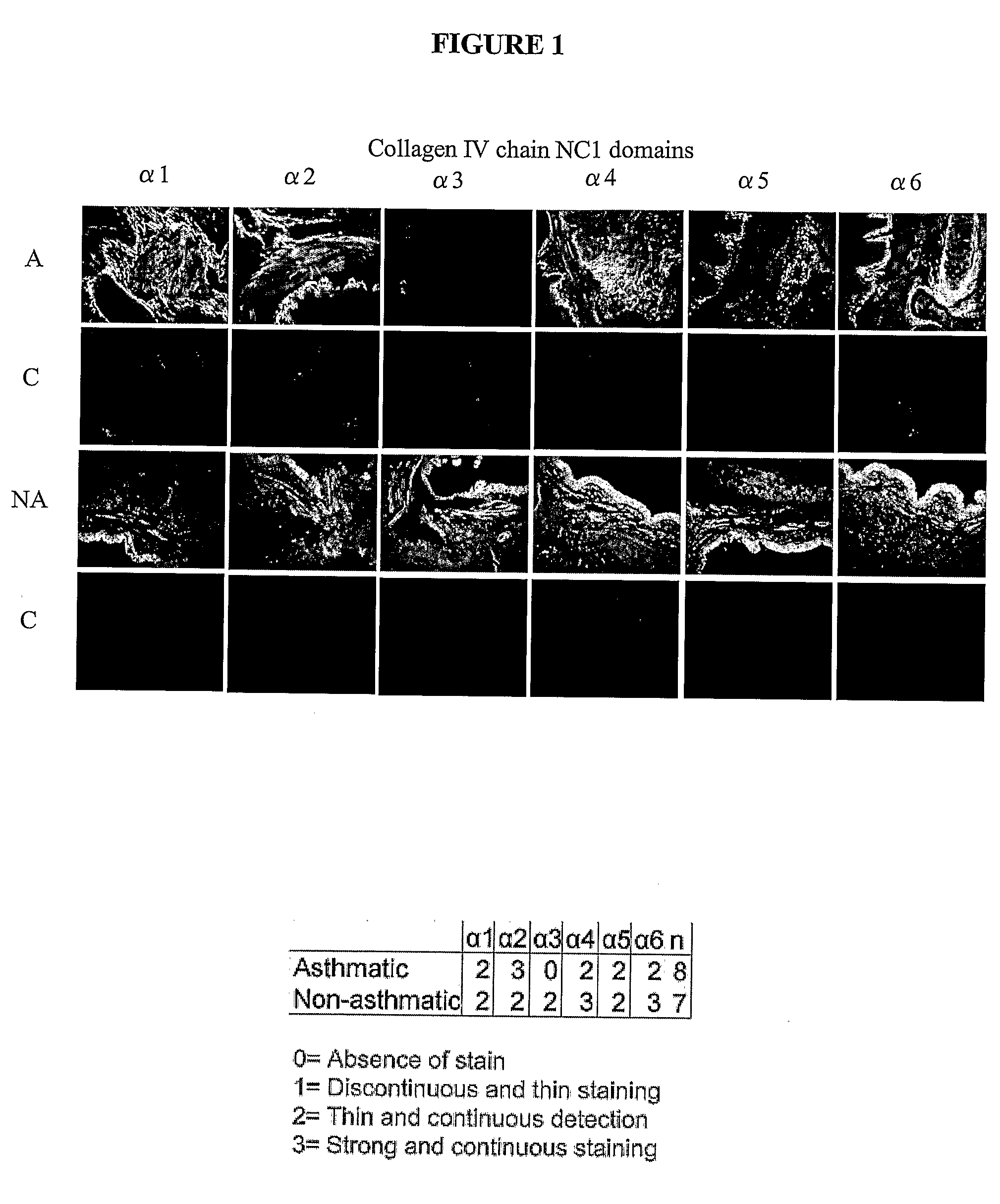 Method of modulating cellular activity and agents for use therein