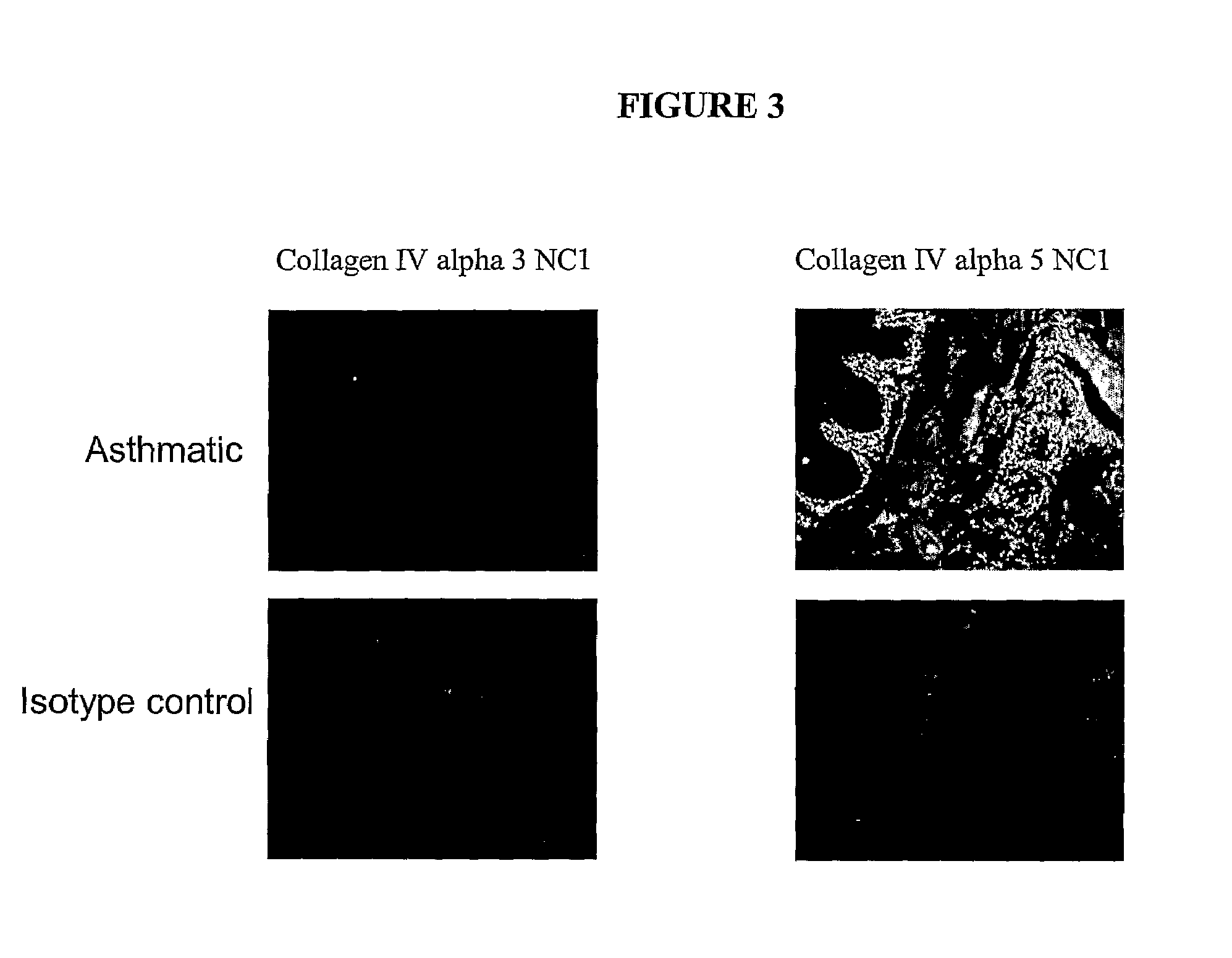 Method of modulating cellular activity and agents for use therein
