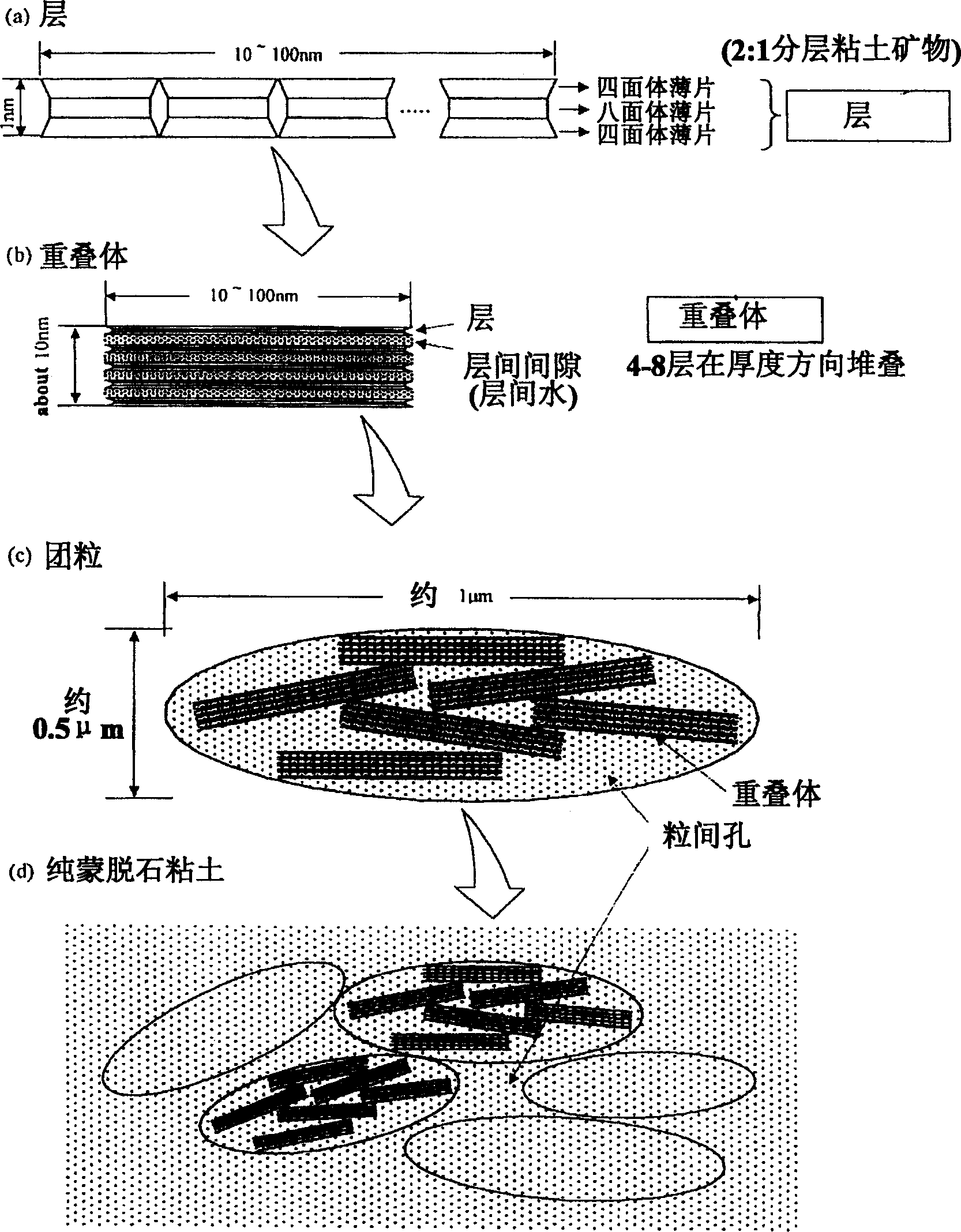 Sheet silicate mineral and fuel cell including intercalation complex thereof as solid electrolyte membrane