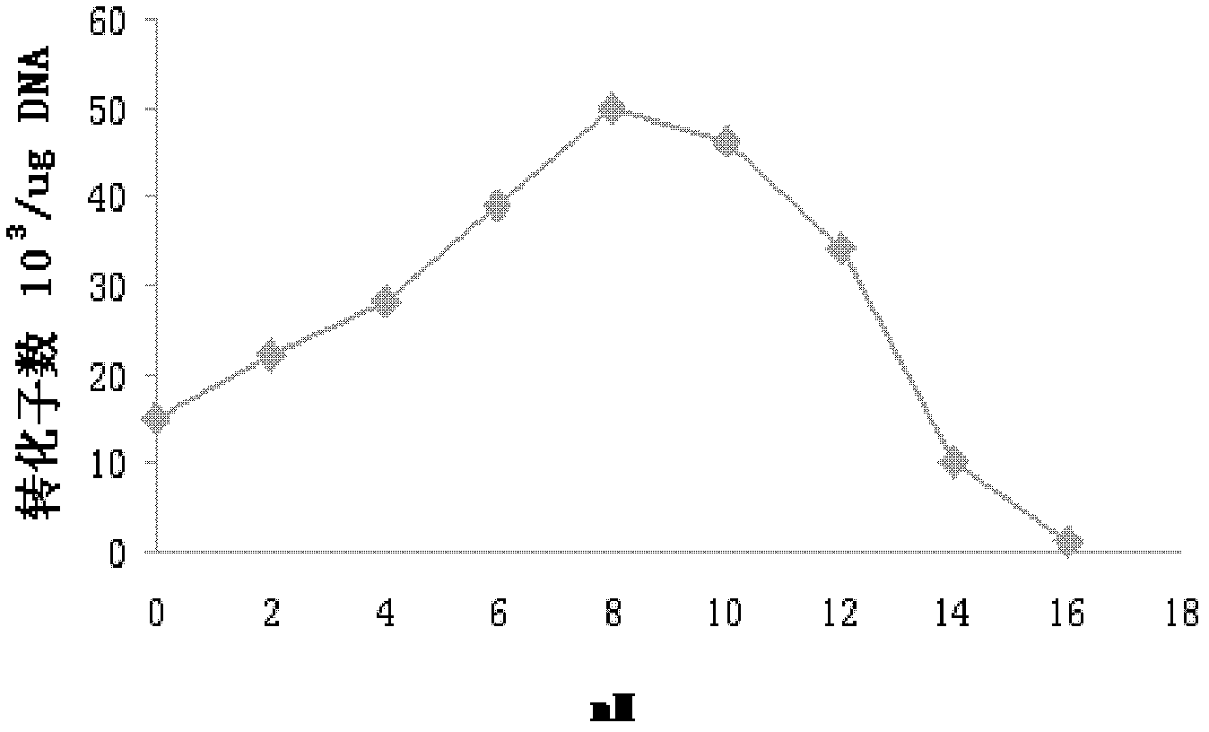 Electrotransformation method of Cytophaga hutchinsonii