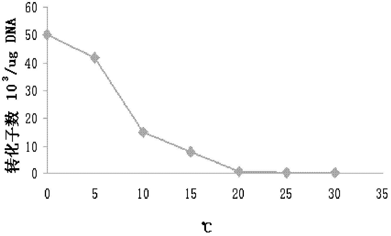 Electrotransformation method of Cytophaga hutchinsonii