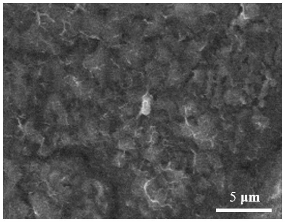 Aqueous zinc ion battery negative electrode material with functional protection layer and preparation method of aqueous zinc ion battery negative electrode material