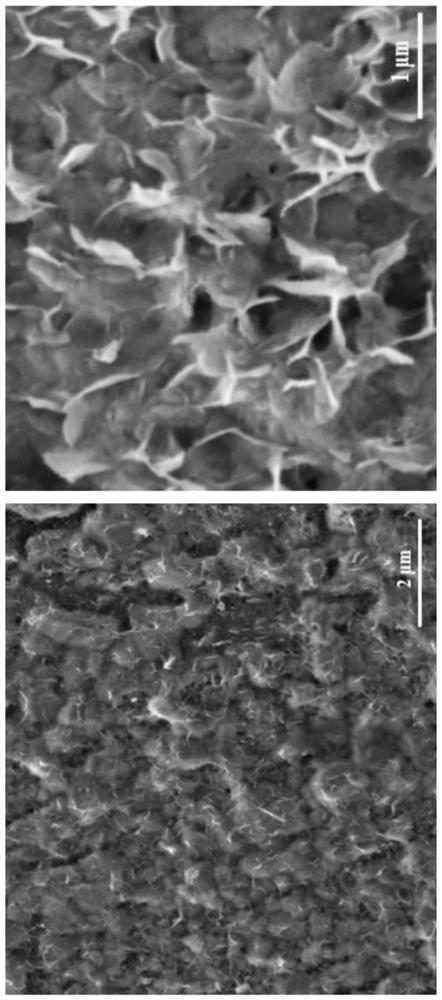 Aqueous zinc ion battery negative electrode material with functional protection layer and preparation method of aqueous zinc ion battery negative electrode material