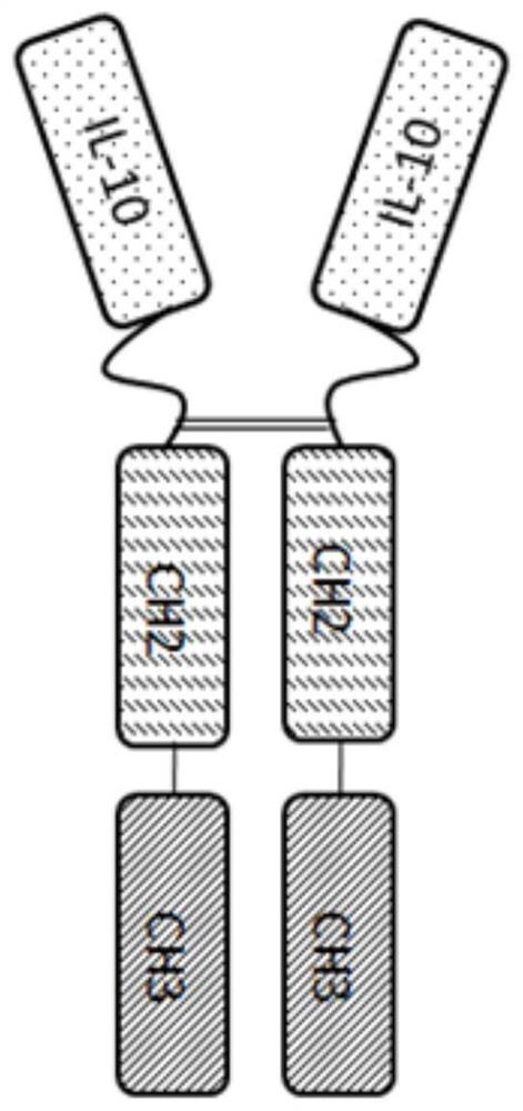 Injection preparation of human interleukin 10-Fc fusion protein