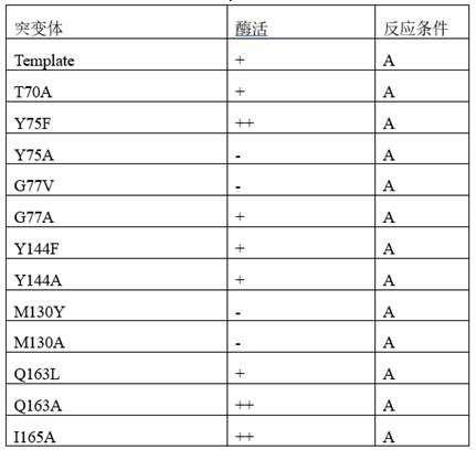 Transaminase mutant and application thereof