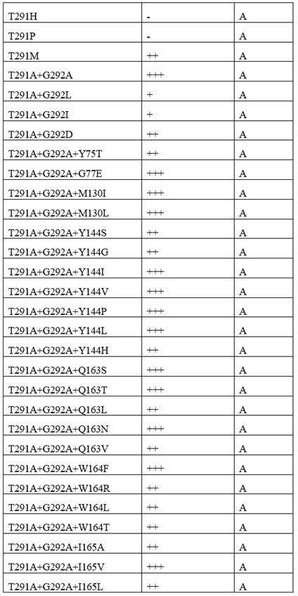 Transaminase mutant and application thereof