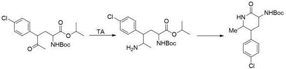 Transaminase mutant and application thereof