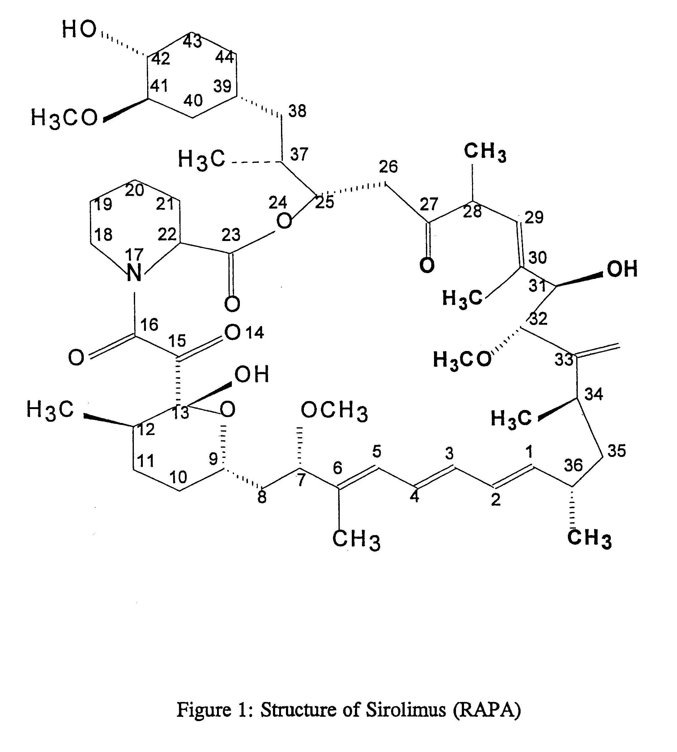 Method for production of antibodies to specific sites of rapamycin