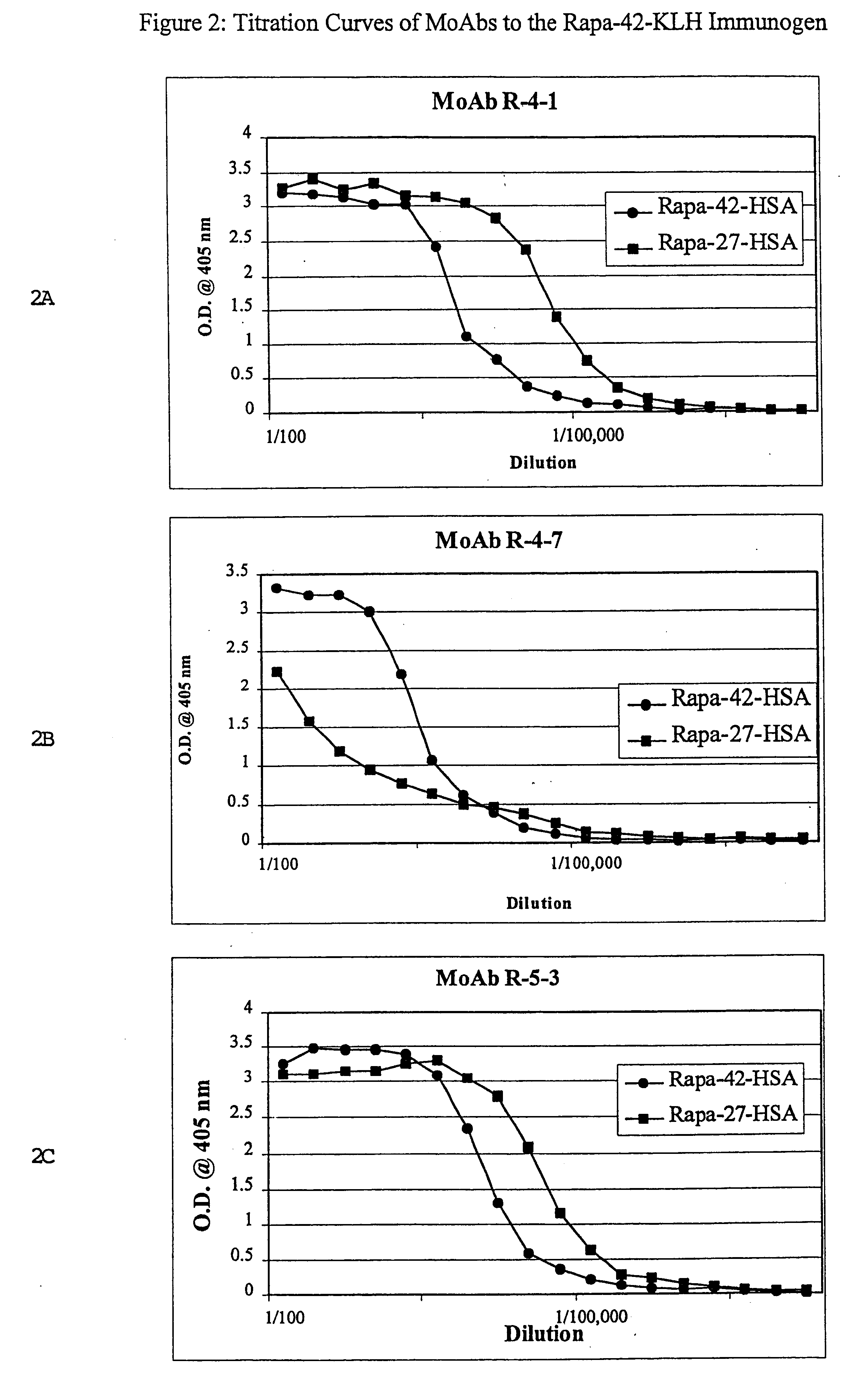 Method for production of antibodies to specific sites of rapamycin