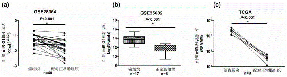 Plasma miRNA biomarker related to colorectal cancer and application thereof