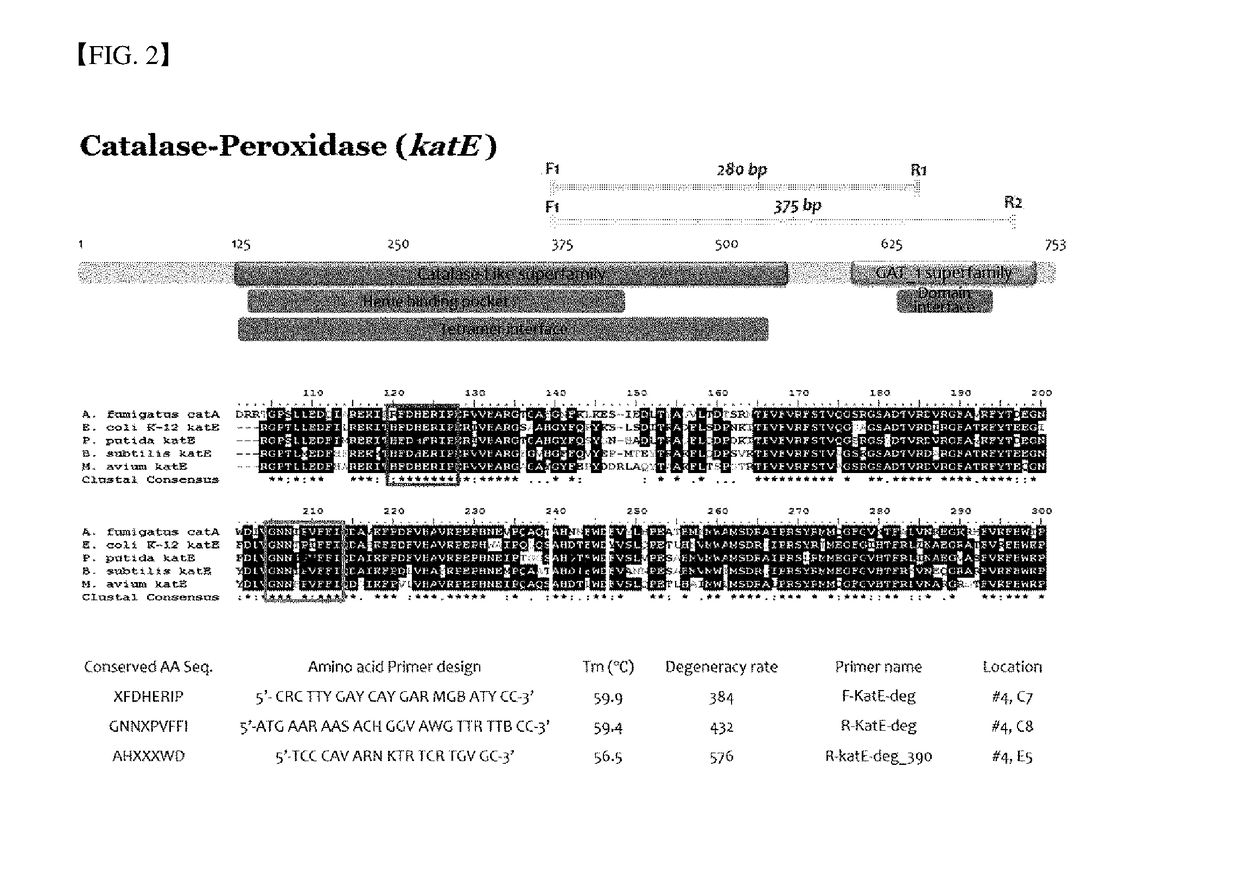 Method for Exploring Useful Genetic Resources Through Bulk Metagenome Analysis and Use Thereof