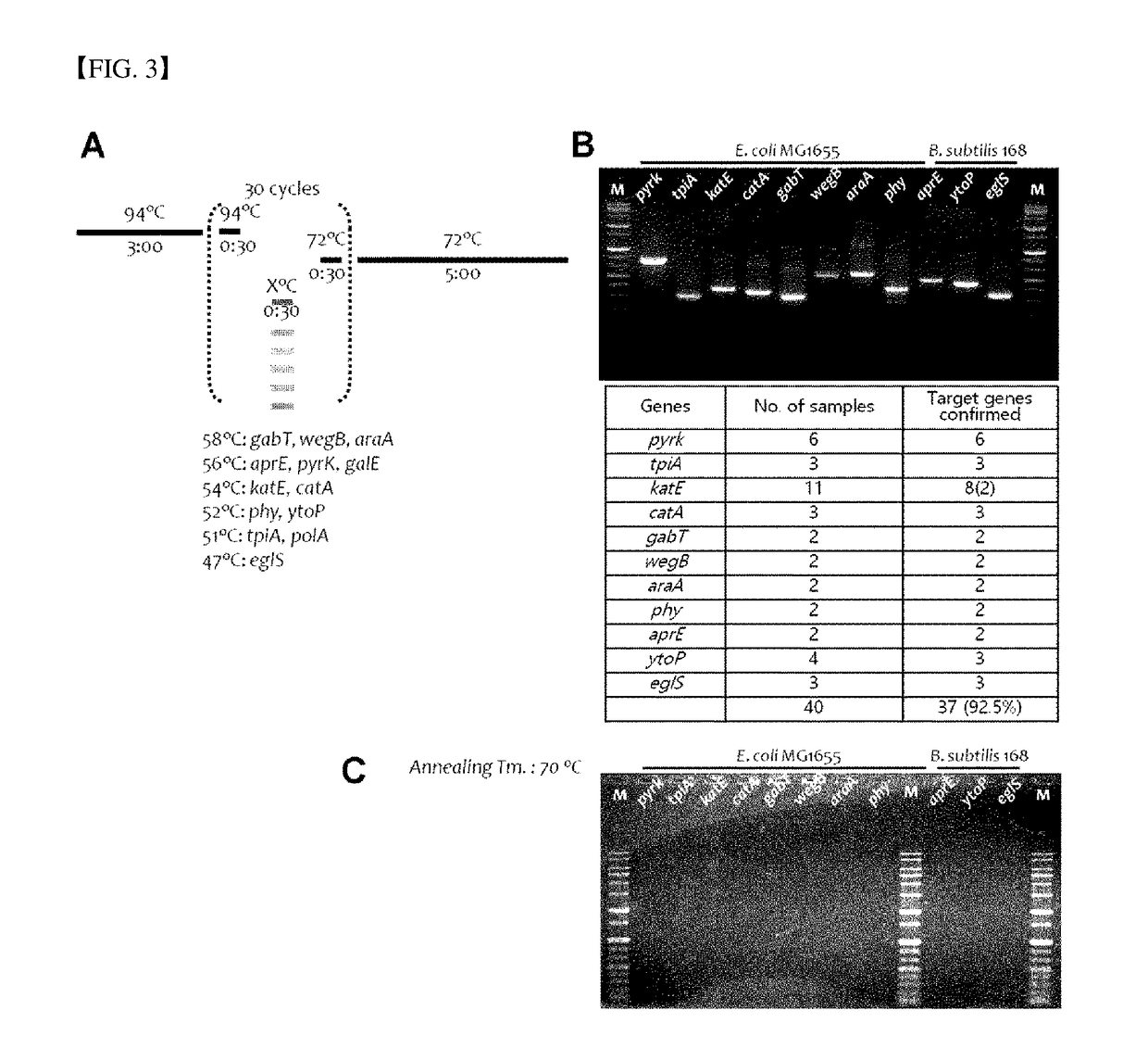 Method for Exploring Useful Genetic Resources Through Bulk Metagenome Analysis and Use Thereof