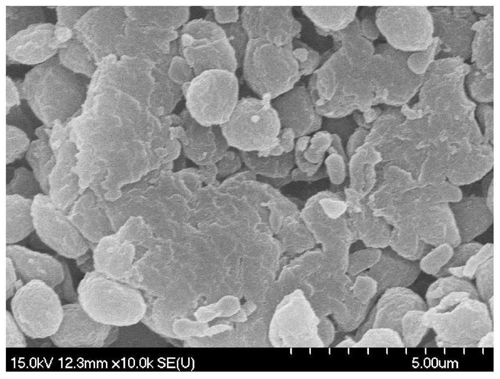 A method and bacterial strain for in-situ restoration of arsenic-contaminated high-saline water using cyanobacteria