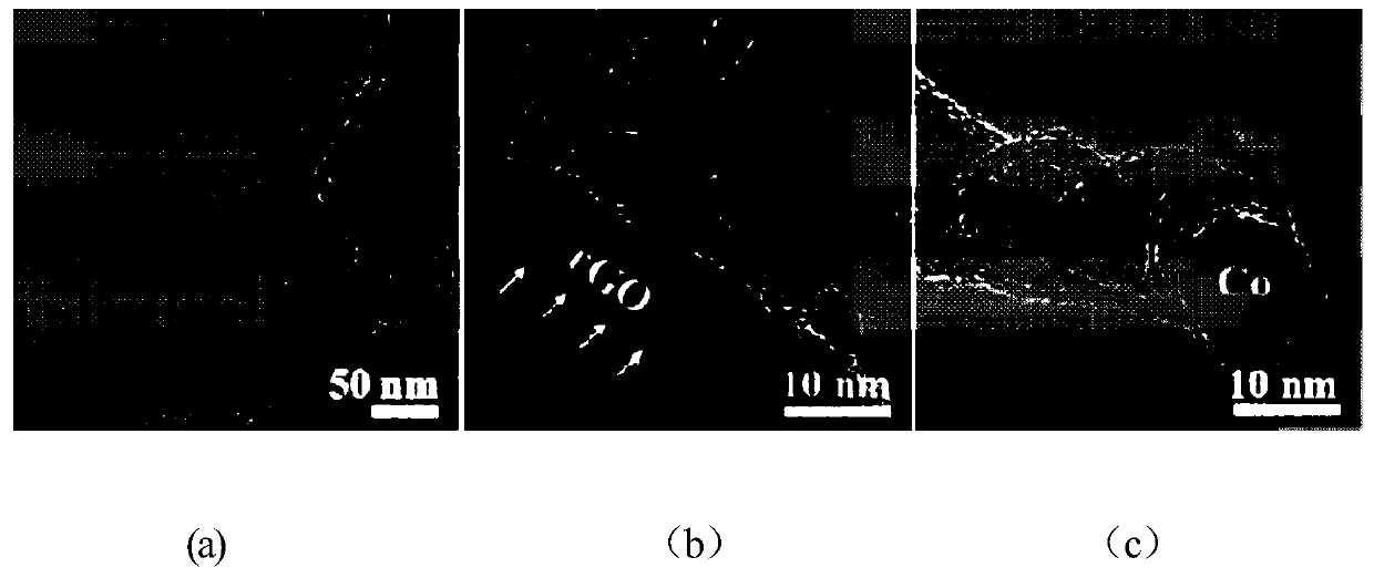 A kind of preparation method of transition group metal/carbon tube/graphene electrocatalyst for hydrogen evolution reaction