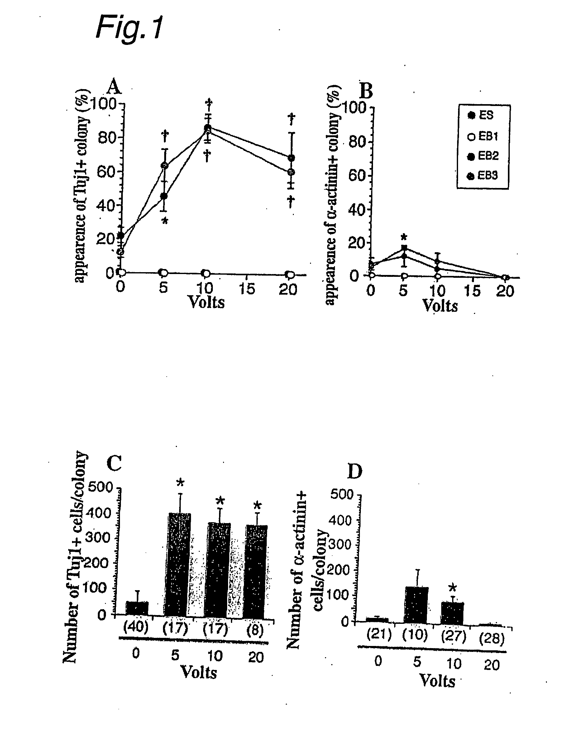 Neuronal cells obtained by electric pulse treatment of es cells