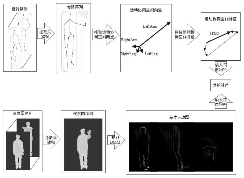 Human body behavior recognition method based on motion cooperation space