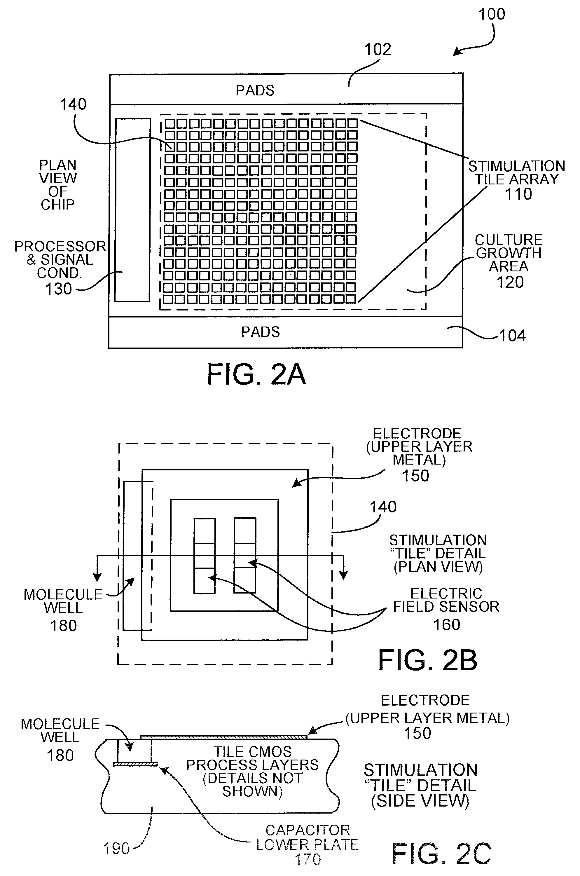 Method and apparatus for guiding growth of neurons
