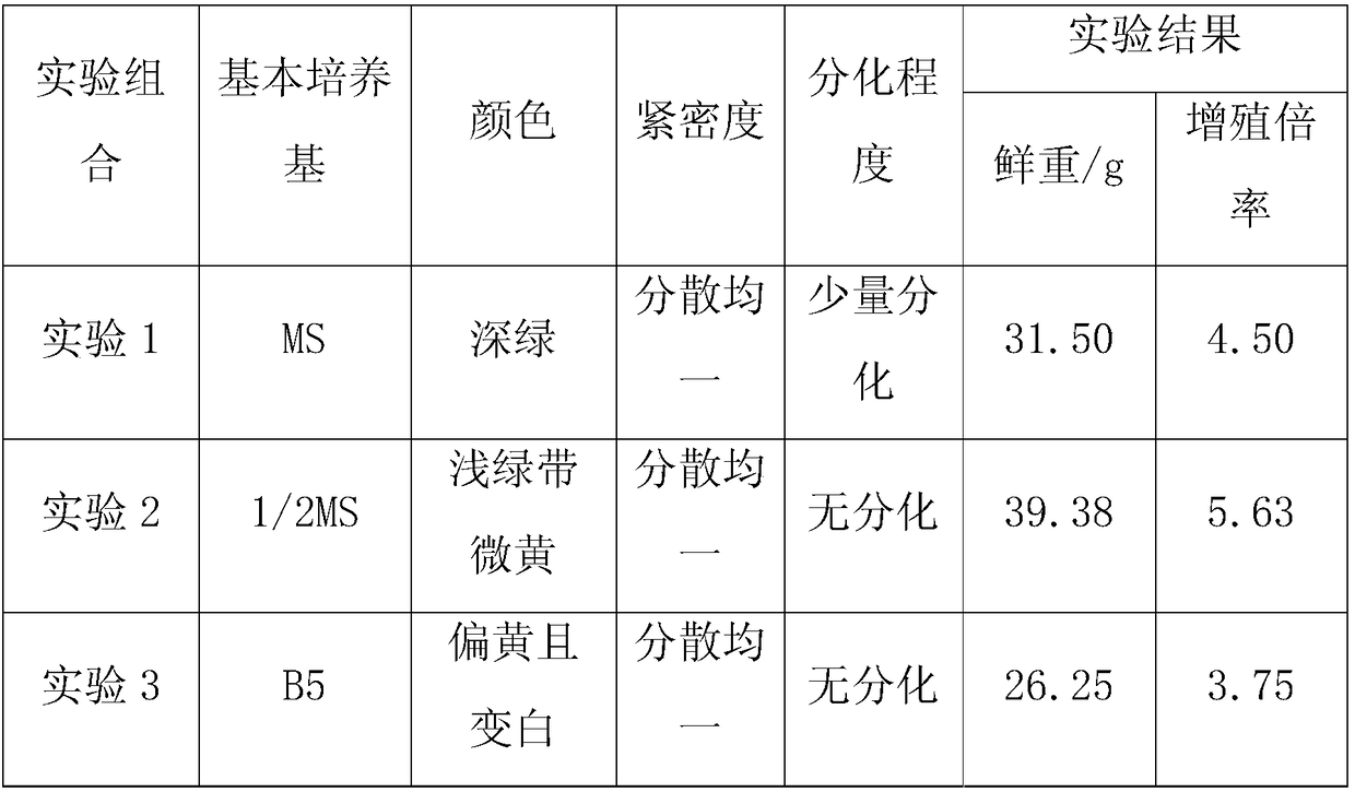 A kind of method for rapid propagation of dendrobium officinale protocorm tissue culture