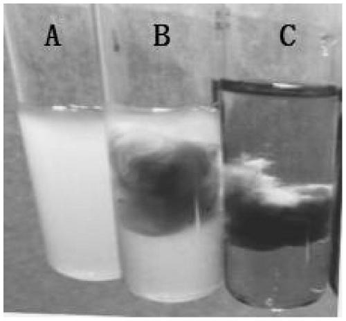 A kind of preparation method and application of quaternary ammonium salt-n-halamine type nano antibacterial fiber
