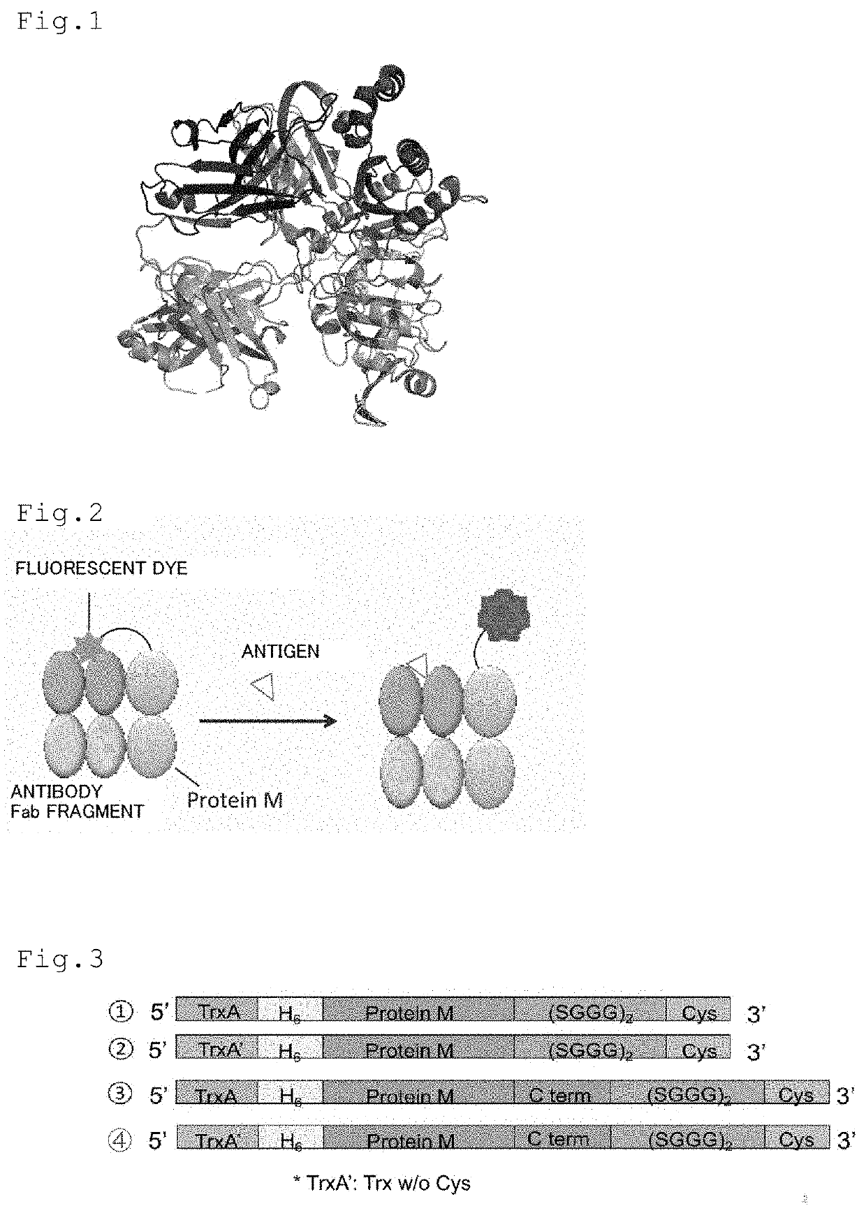 Kit for detecting antigen or measuring its amount