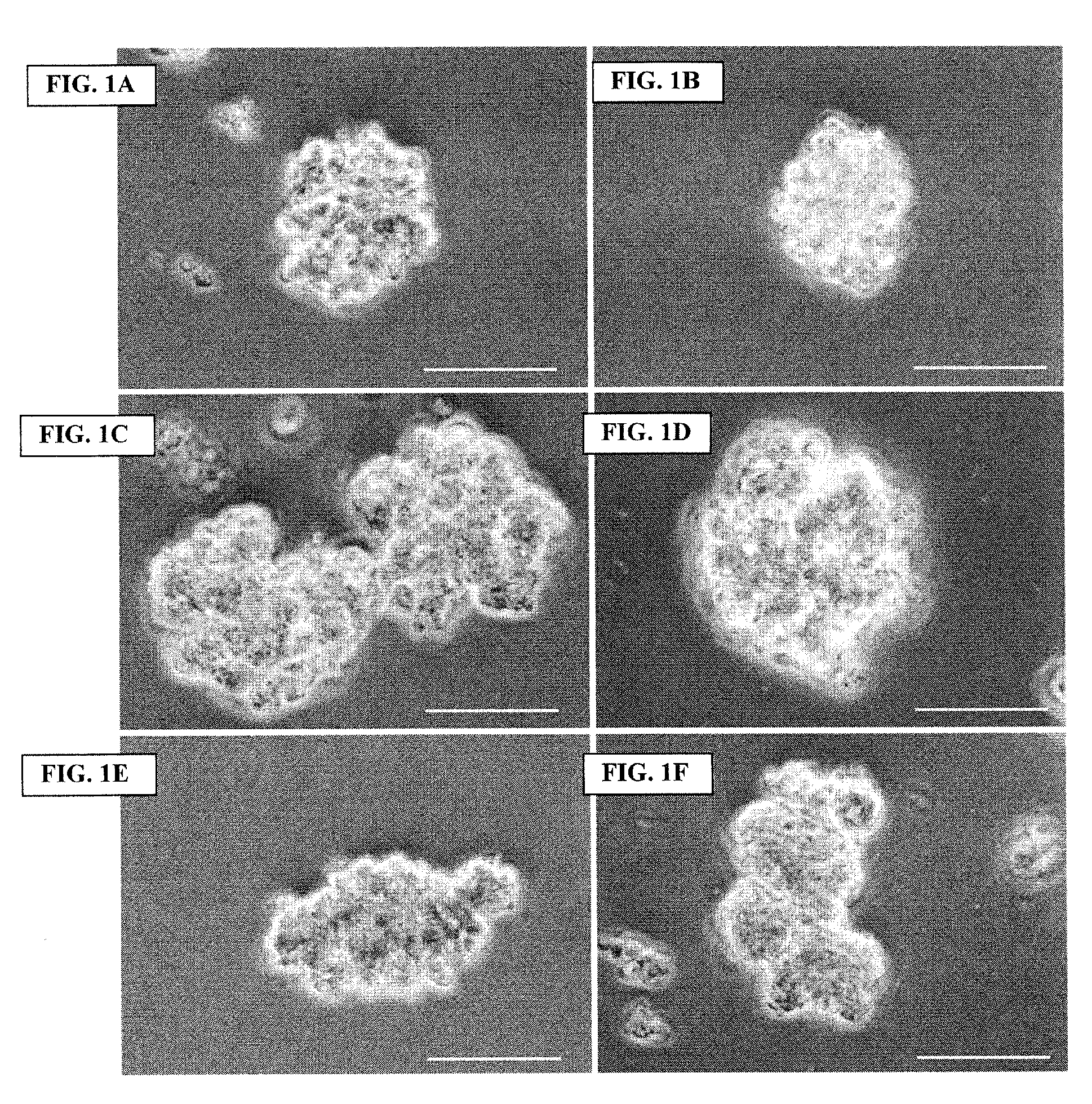 Archaeal polar lipid aggregates for administration to animals