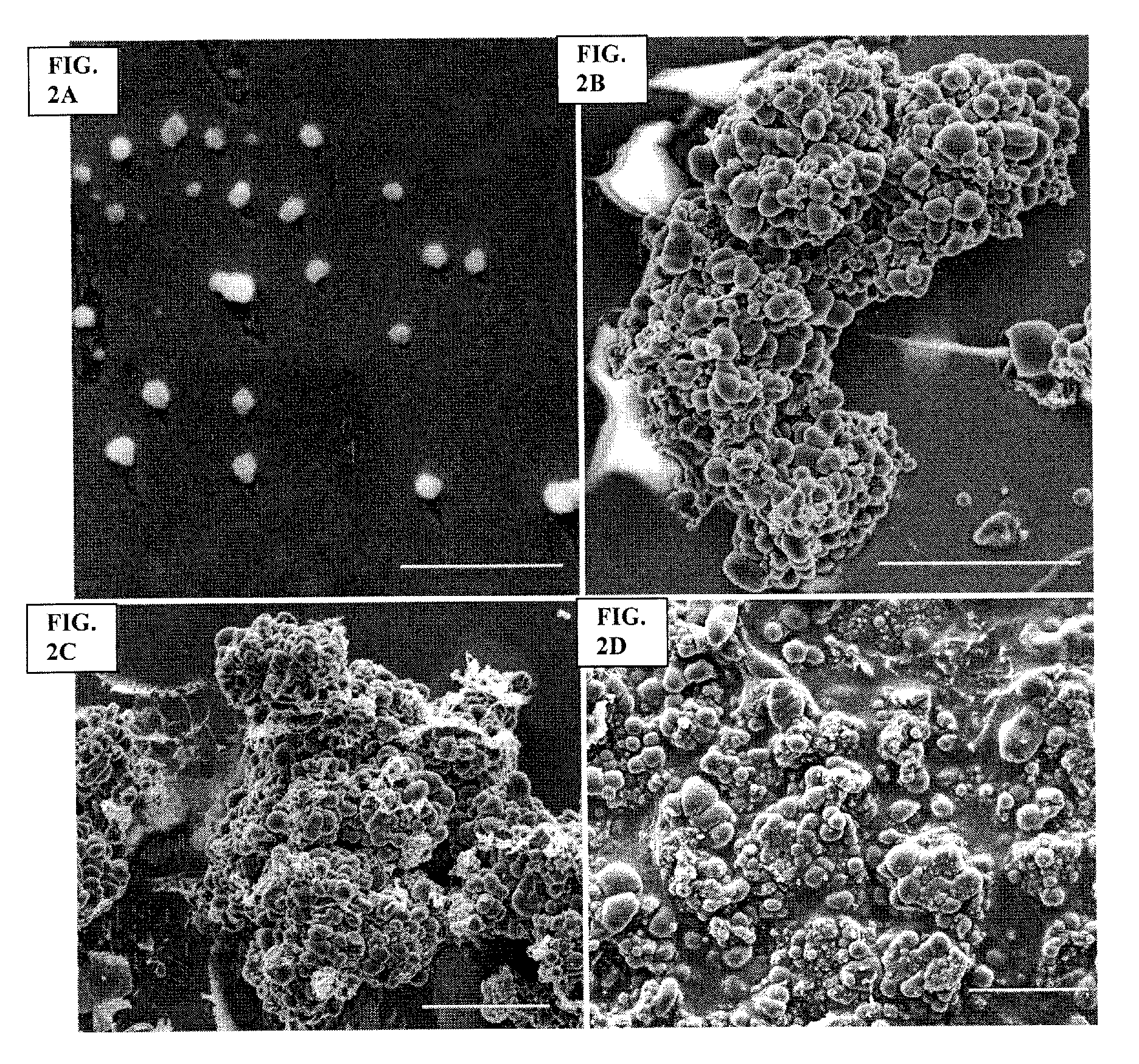 Archaeal polar lipid aggregates for administration to animals